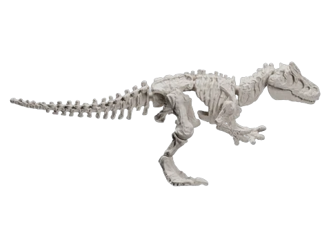 Allosaurus Skeleton – Blokees Jurassic World TS04